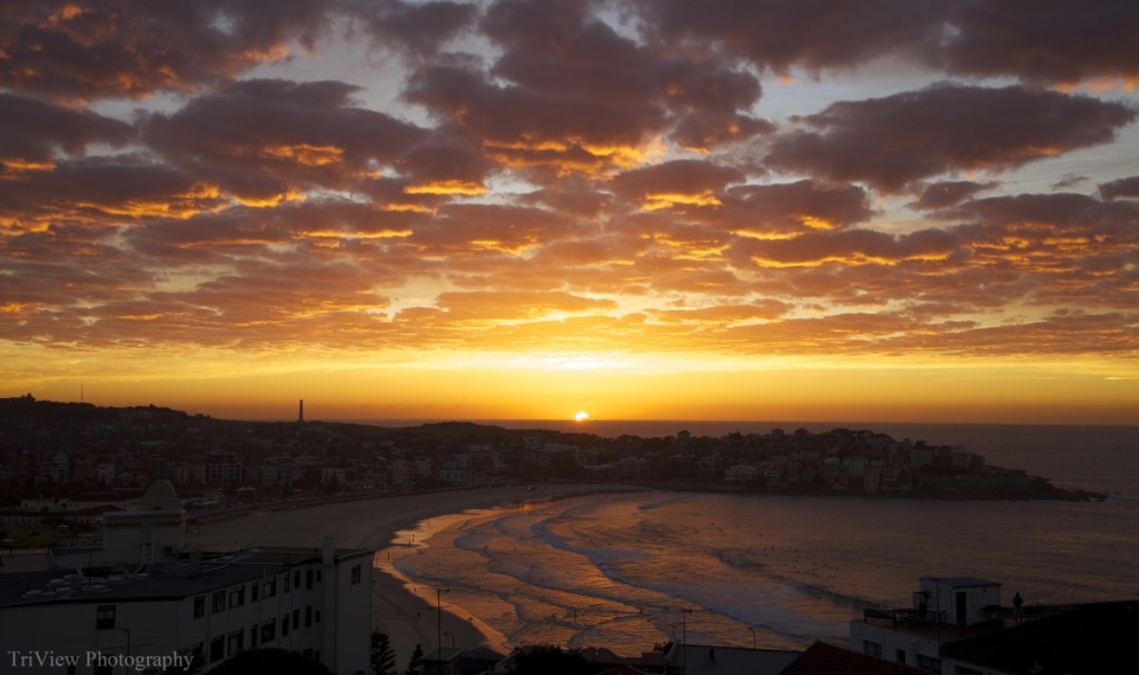Bondi Sunrise