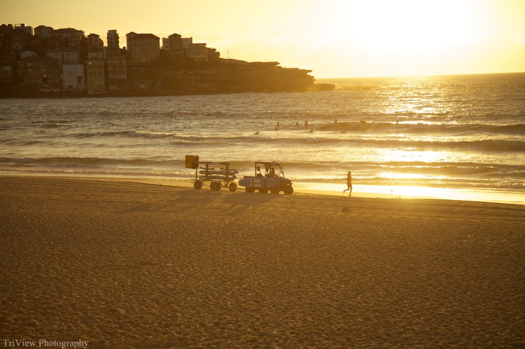 Morning-chase-Bondi