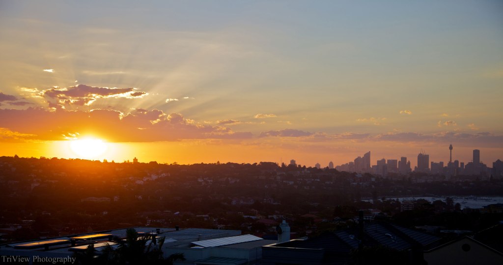 sydney sunset