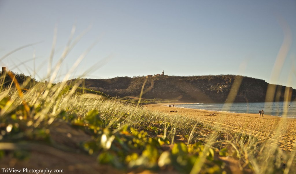 Winter In Palm Beach, NSW