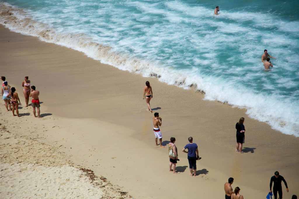 Bondi to Bronte – Spring&nbsp;Time