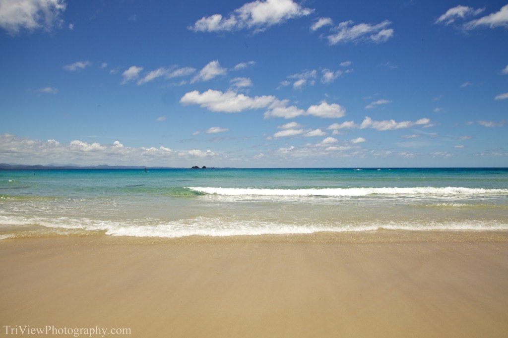 Byron-dolphins-dec-14-2