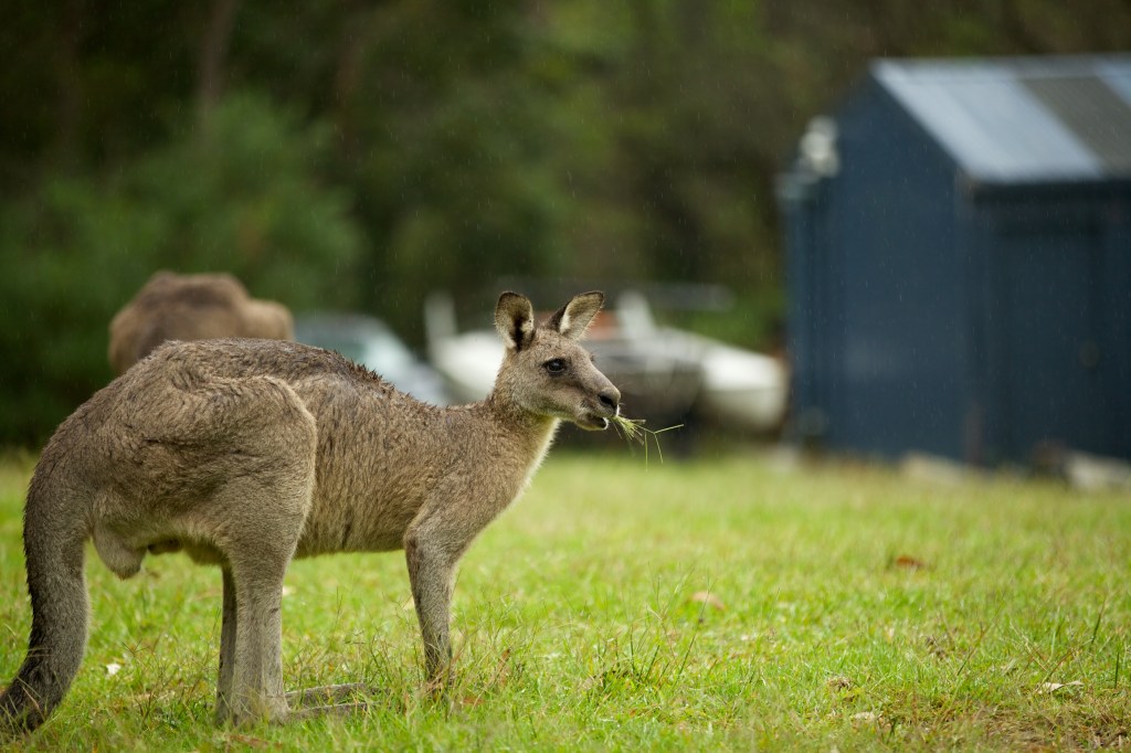 Jervis Bay