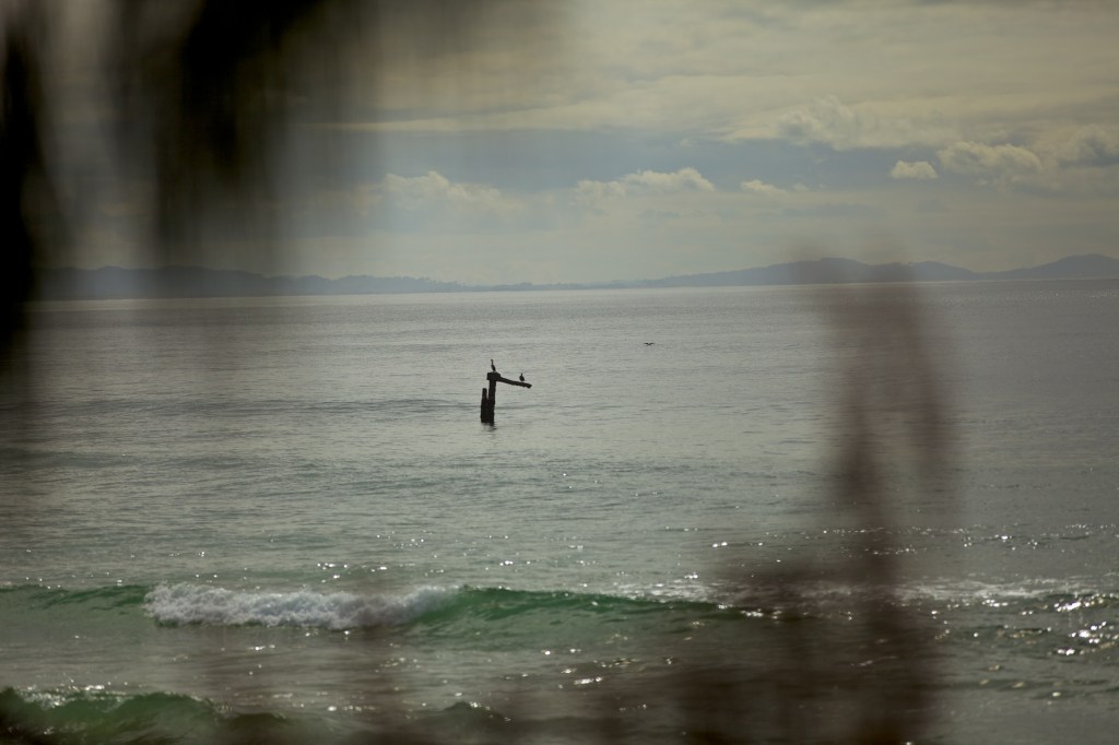 Byron Bay Silver light