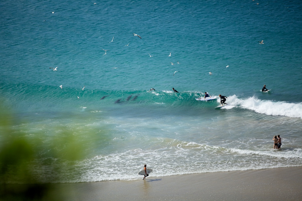 Broken head Byron Bay NSW Australia