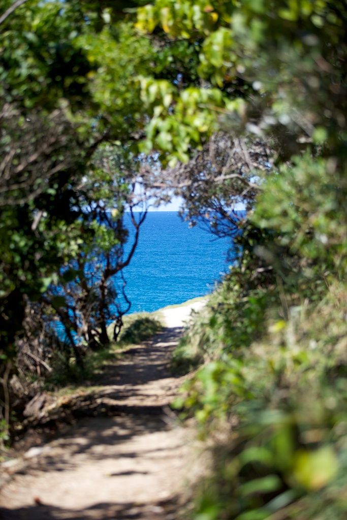 Broken head Byron Bay NSW Australia