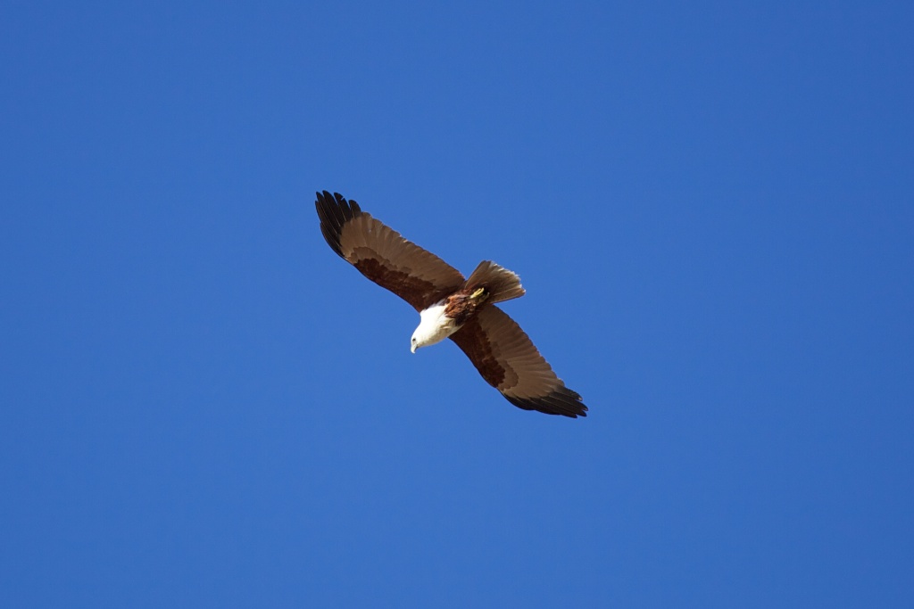 Broken head Byron Bay NSW Australia