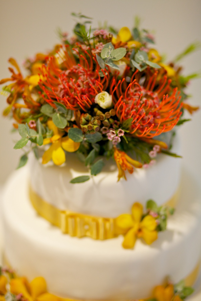 Will and Alex Dec 2015 web 10