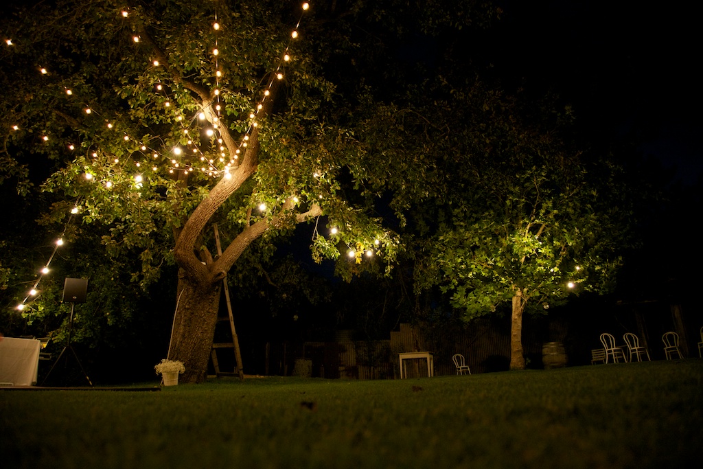 Leshai and Tim web 1