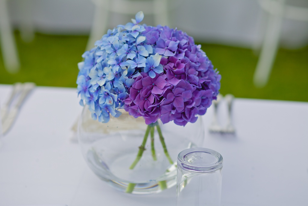 Leshai and Tim web 10