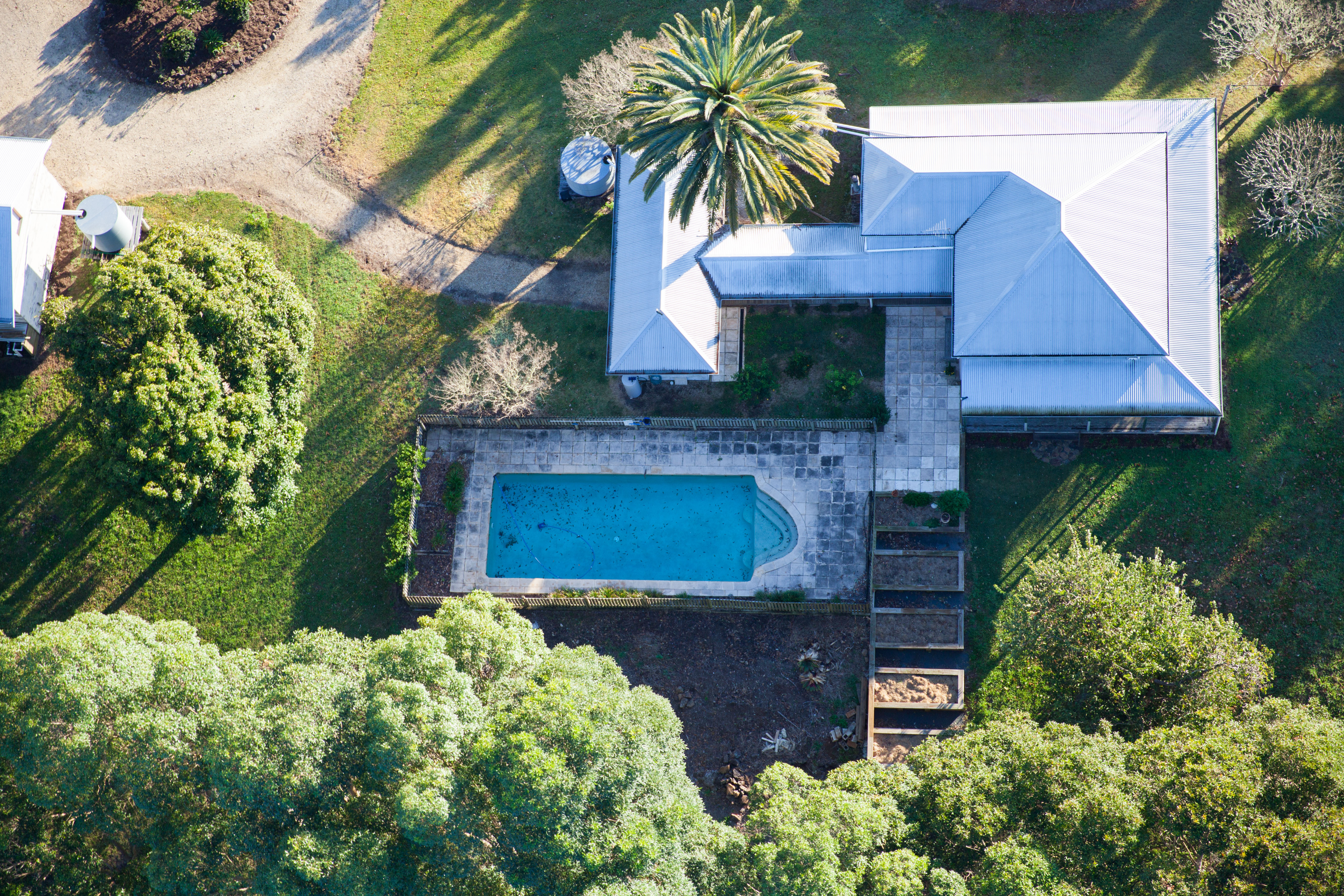 Leaf pool - July 2017