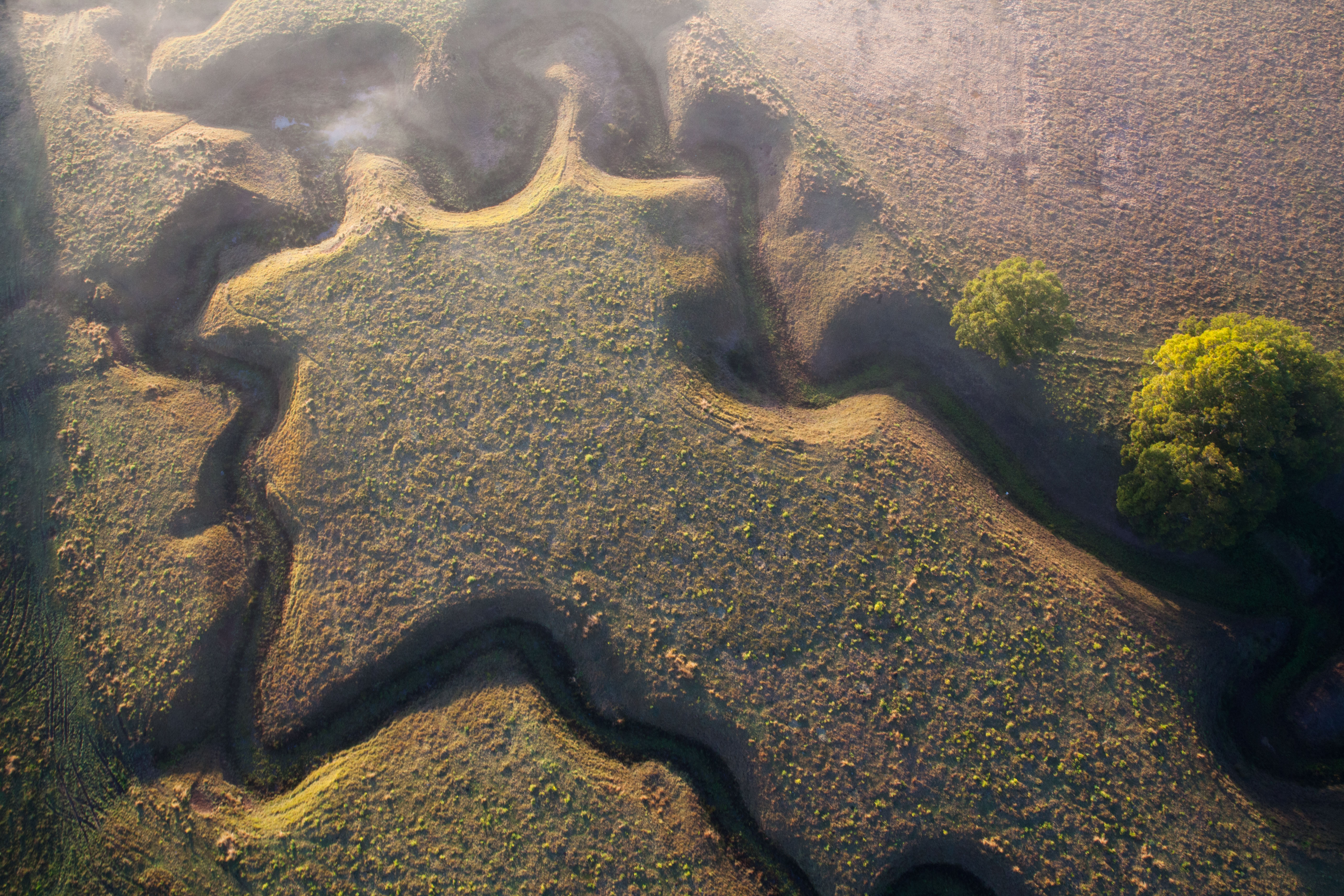 strange creek - July 2017